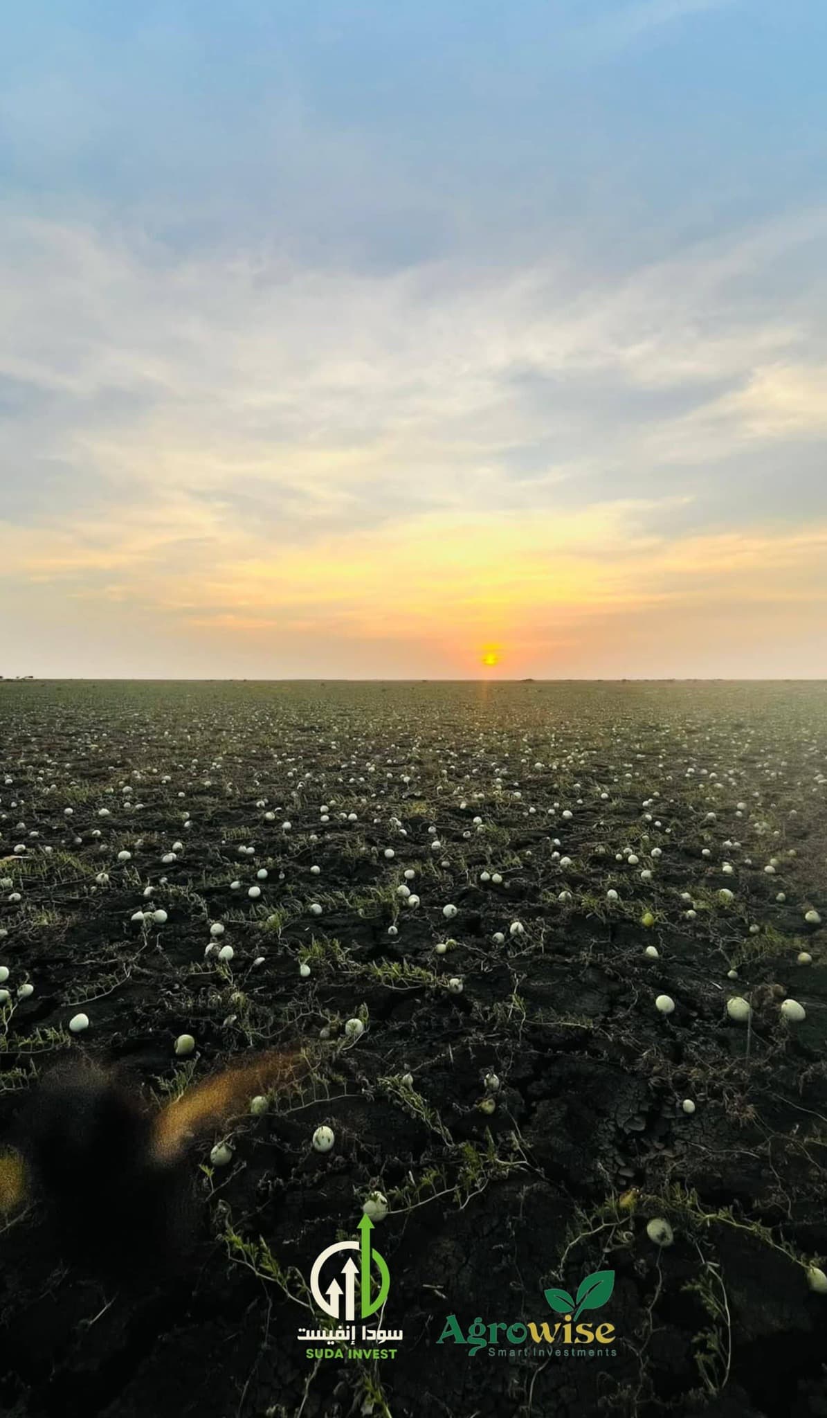 Agriculture and farming