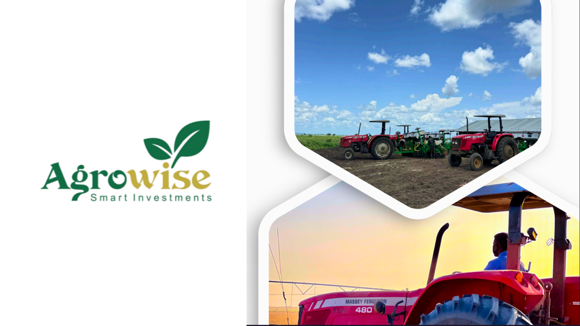 مشروع غلال الخير